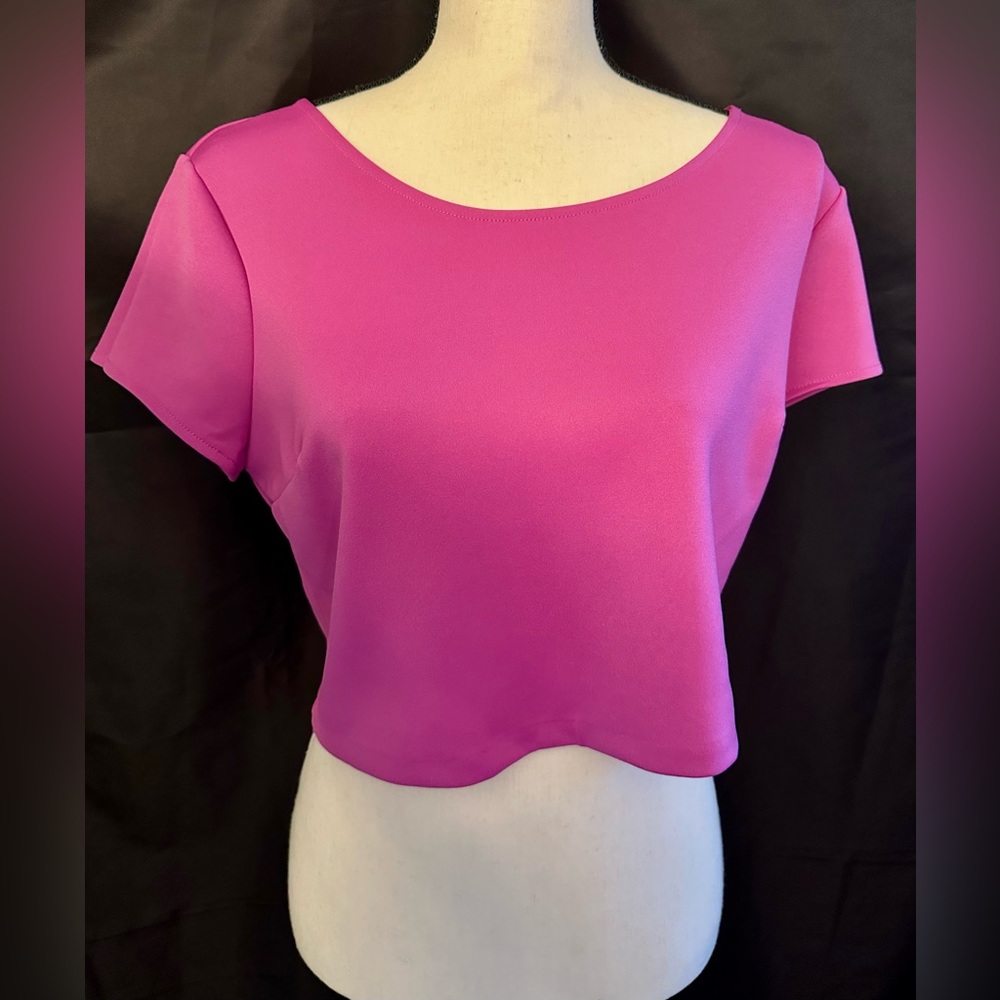 New without Tags Magenta Purple EXPRESS Cropped Top; Size Large